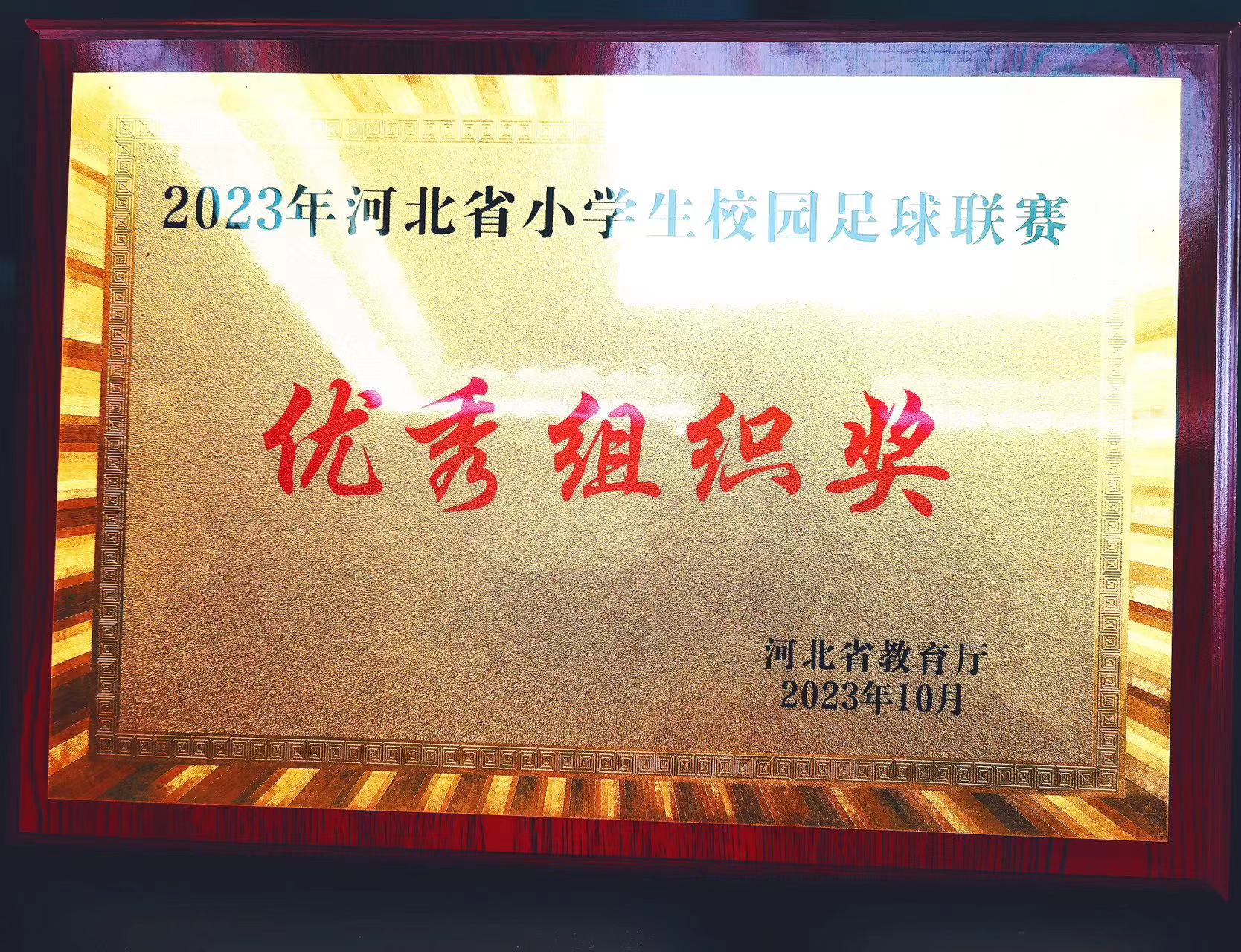 衡水市新苑小学足球队获2023年河北省小学生校园足球联赛亚军|泛亚电竞官方入口(图6)