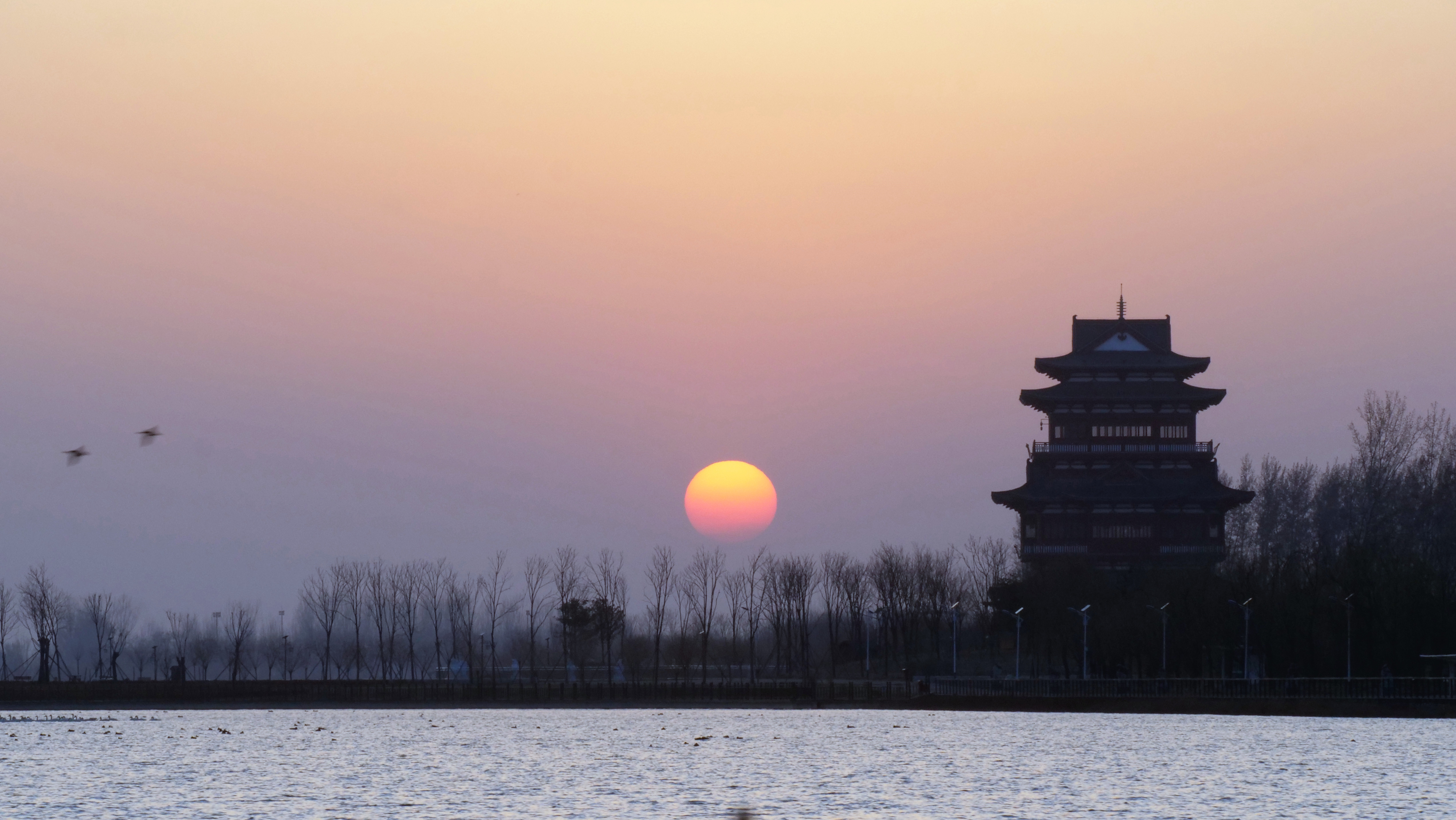 衡水阜城大美阜城湖惹人醉