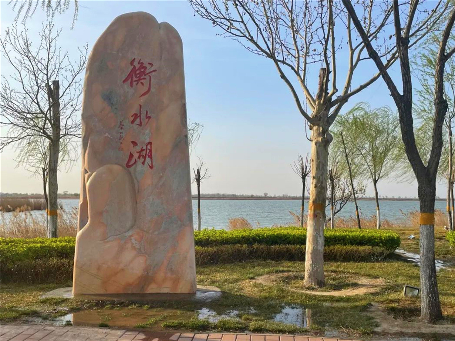 我的位置:>首页>县域>冀之源61新冀州>正文>滨湖公园里繁花似锦.