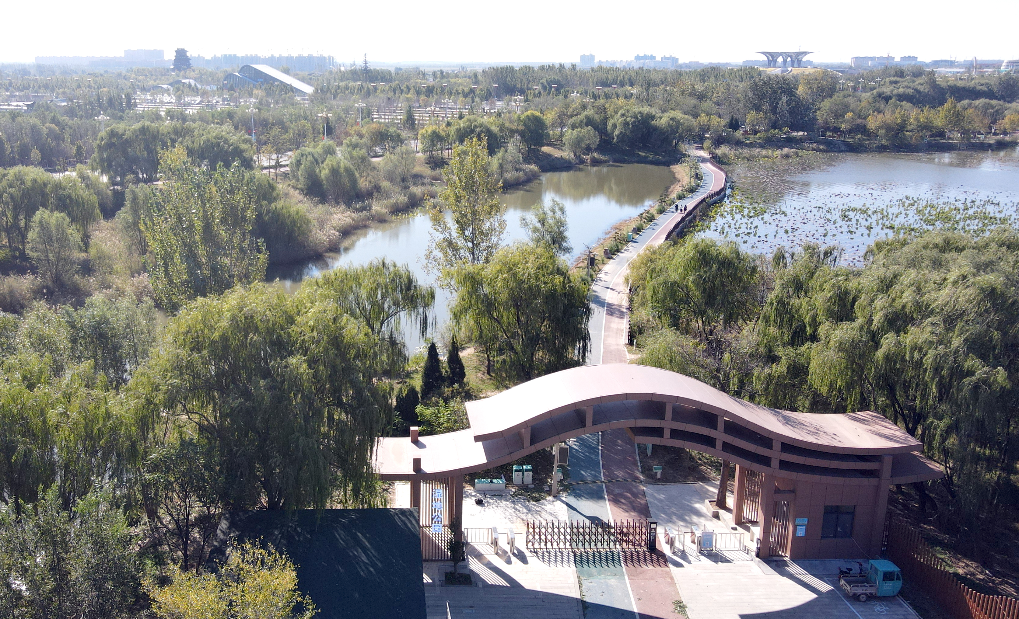 5a创建衡水湖湿地公园秋景美如画
