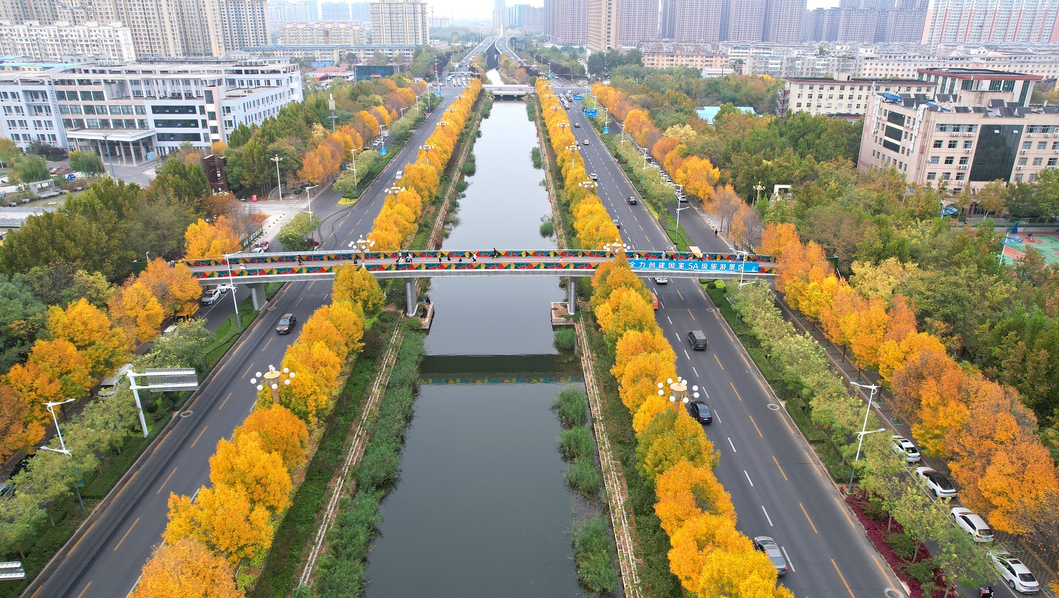 衡水街景图片