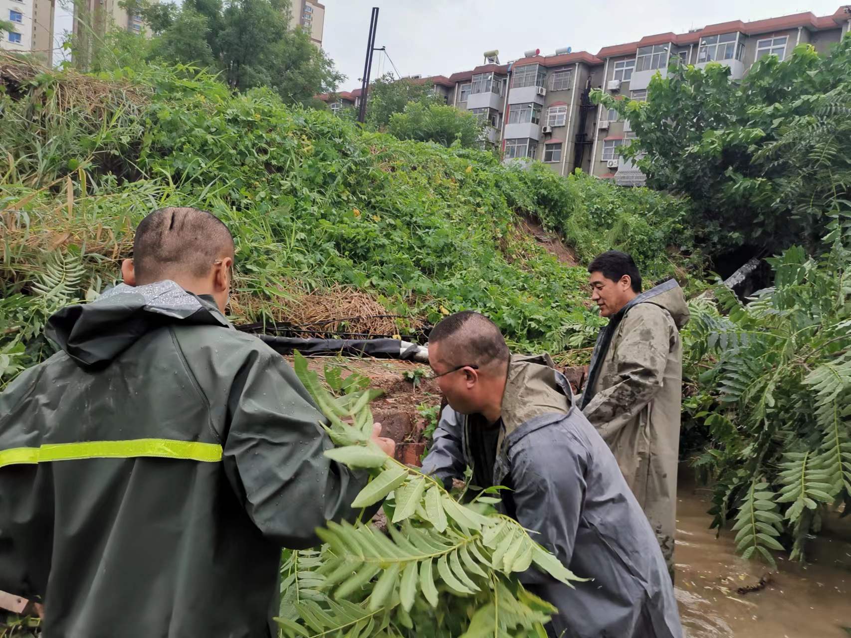 衡水水务公司全力保障强降雨期间供水安全‘澳门威斯人官方网站登录’(图4)