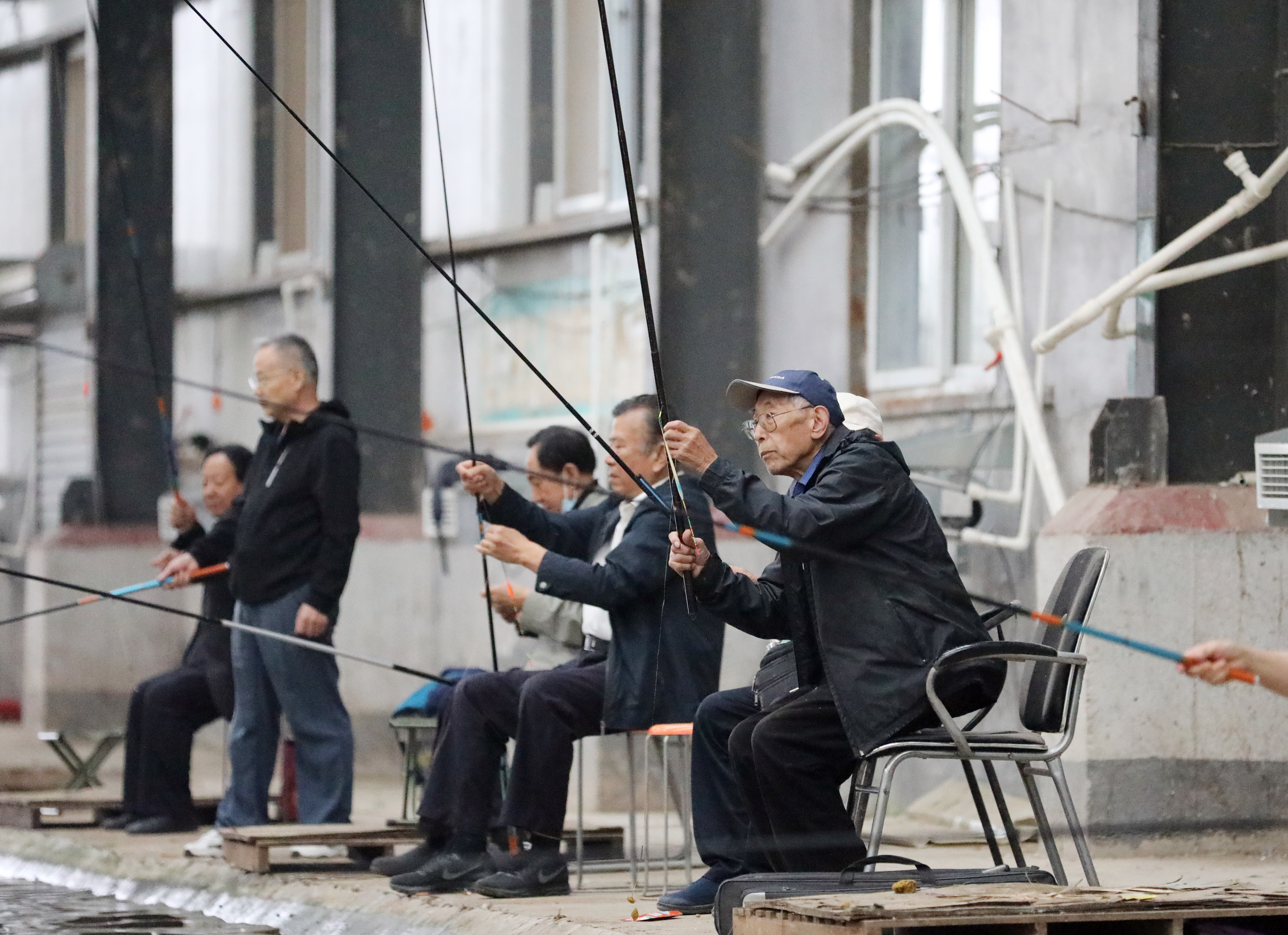 “hq体育官网”衡水市钓鱼运动协会成立暨离退休老干部钓鱼大赛举行(图6)