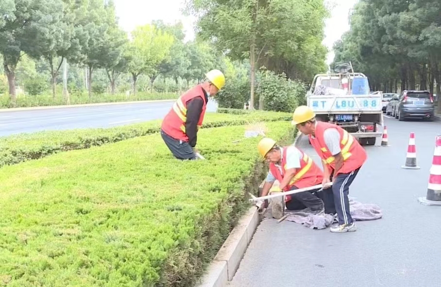 “环球体育HQ官网登录入口”“双节”不打烊！市政精修细护扮靓城市形象(图2)