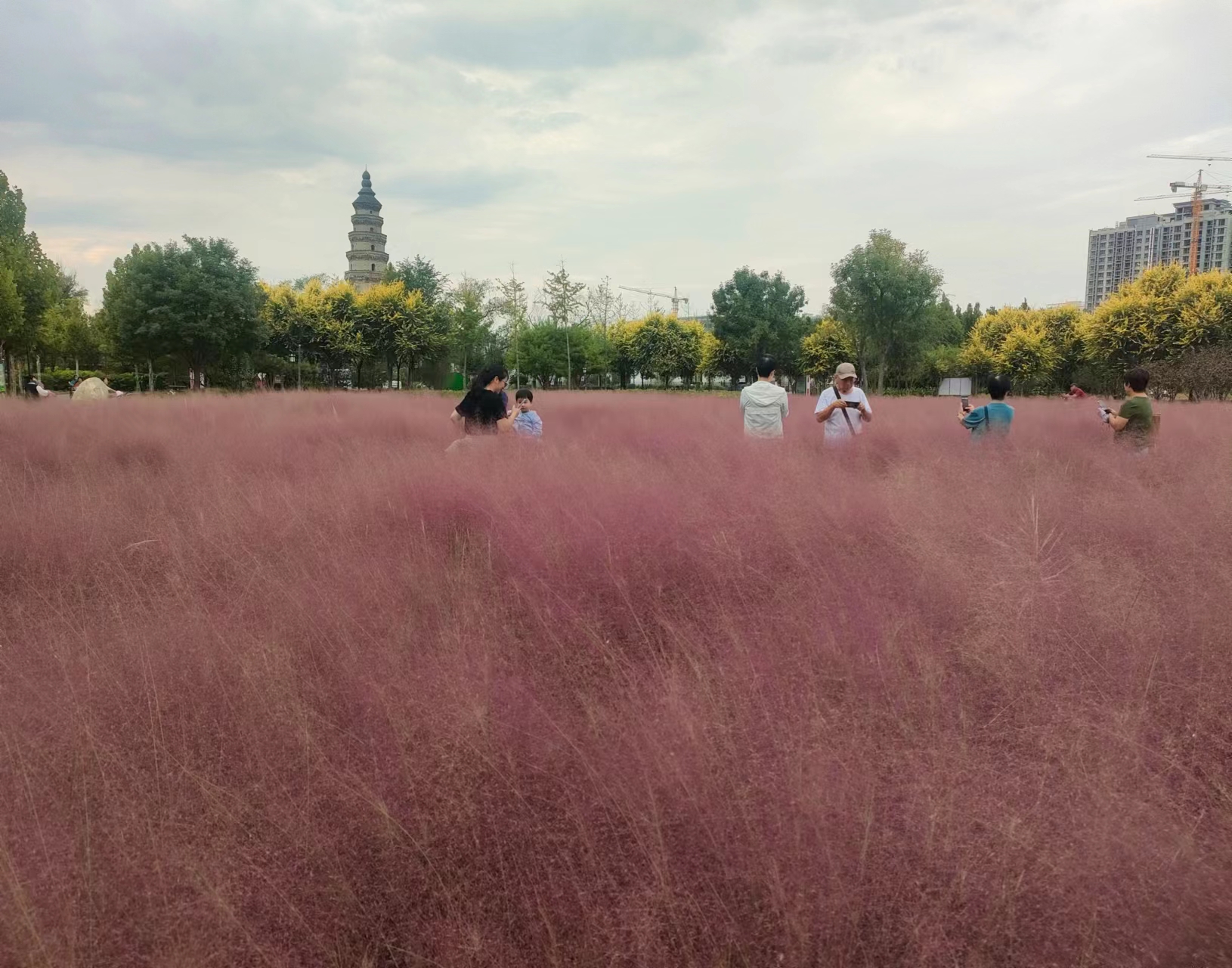 雷火电竞官方网站-衡水市民多种形式欢度多彩假日 品味美好生活(图11)