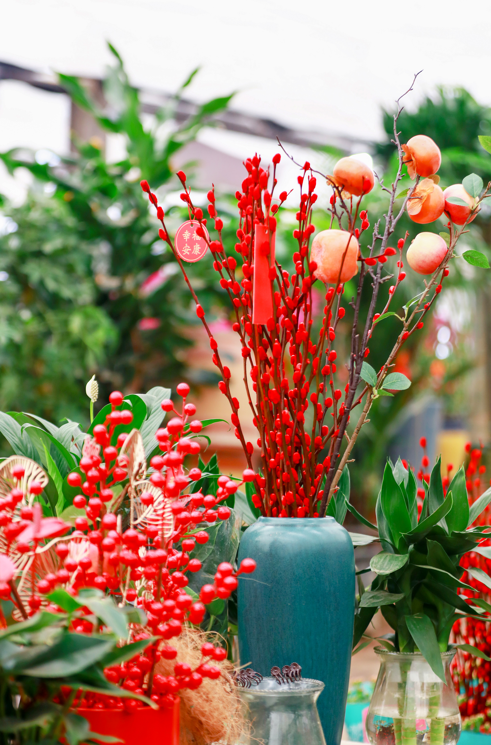 春节鲜花品种图片