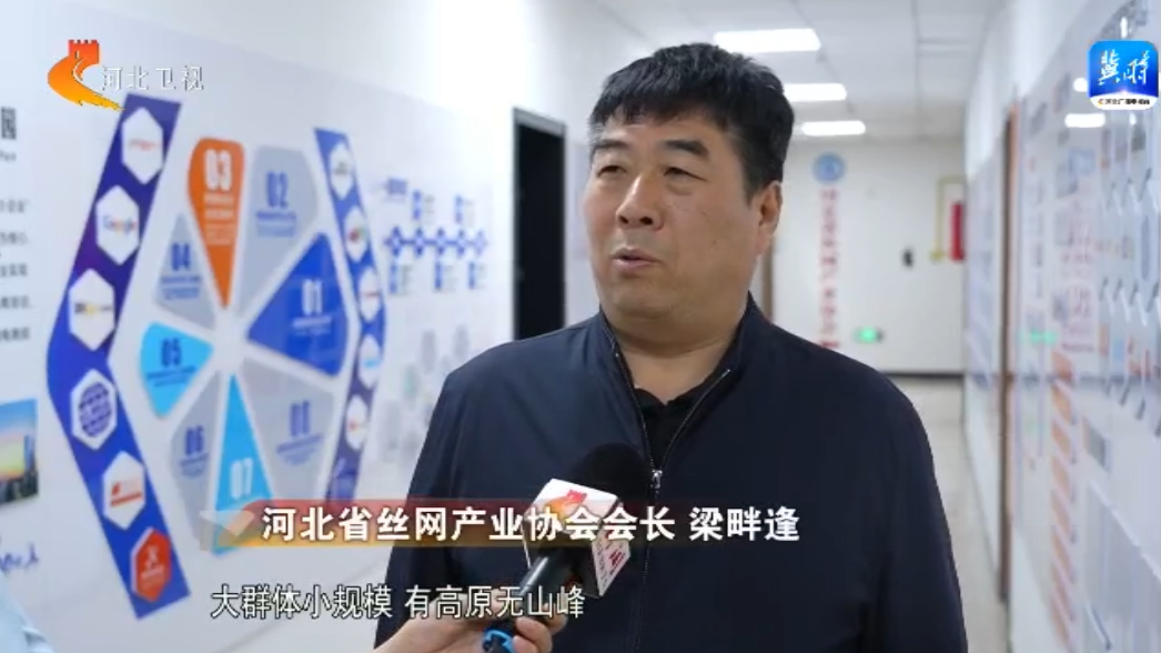 【高质量发展调研行】优环境 看落实 | 衡水安平:"链"上发力 破解丝网
