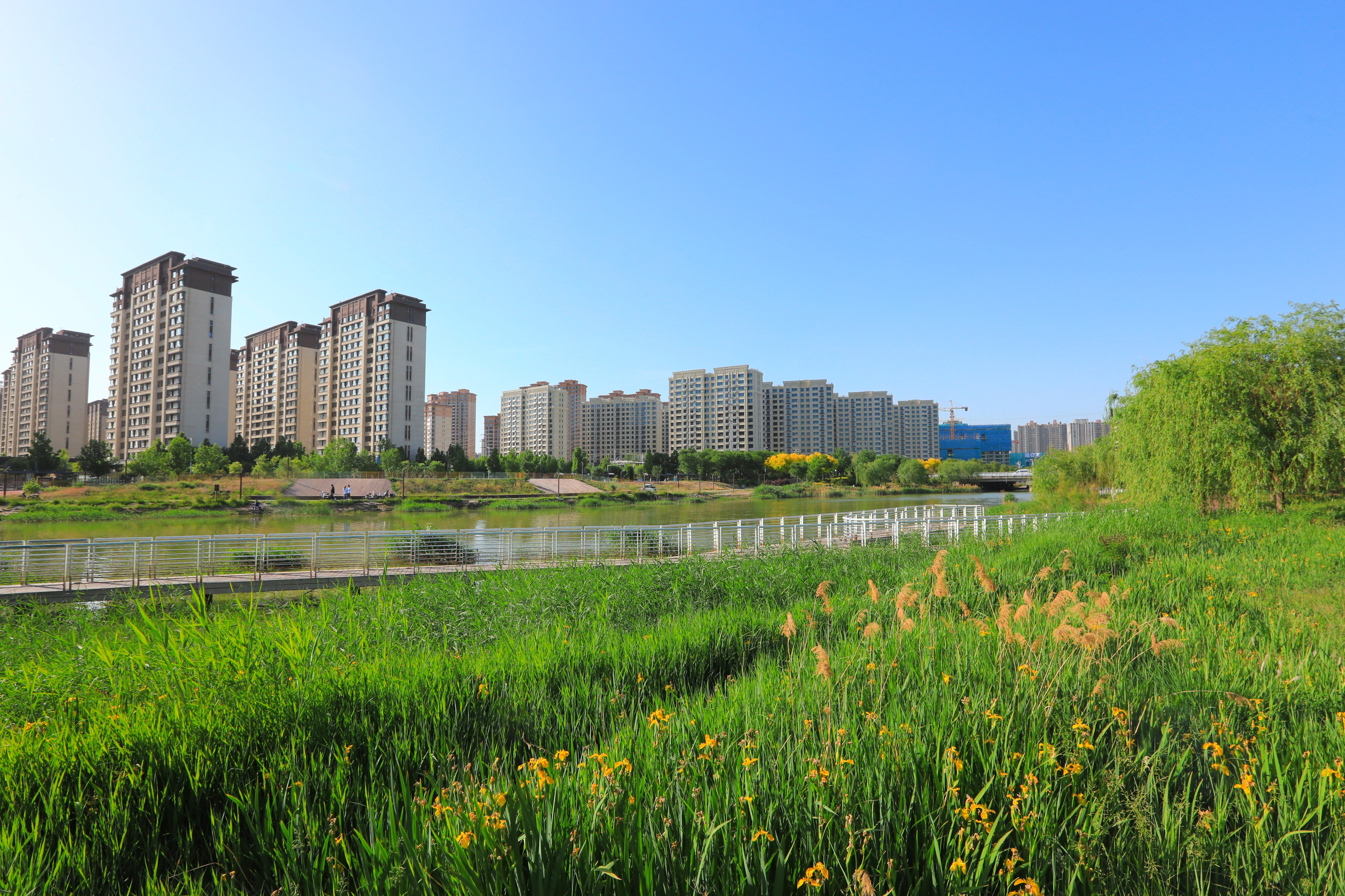 河北衡水:吴公渠生态公园景色怡人