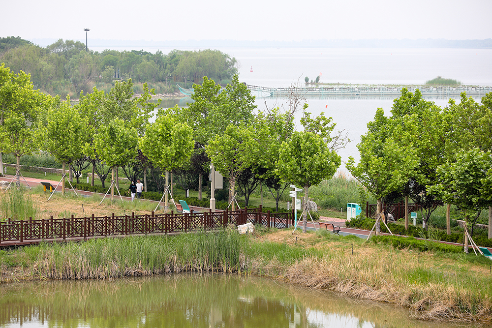 衡水湖公园图片